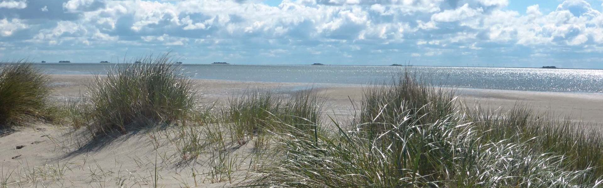 Haus-Sommerlinde-rechts-unter-Reet