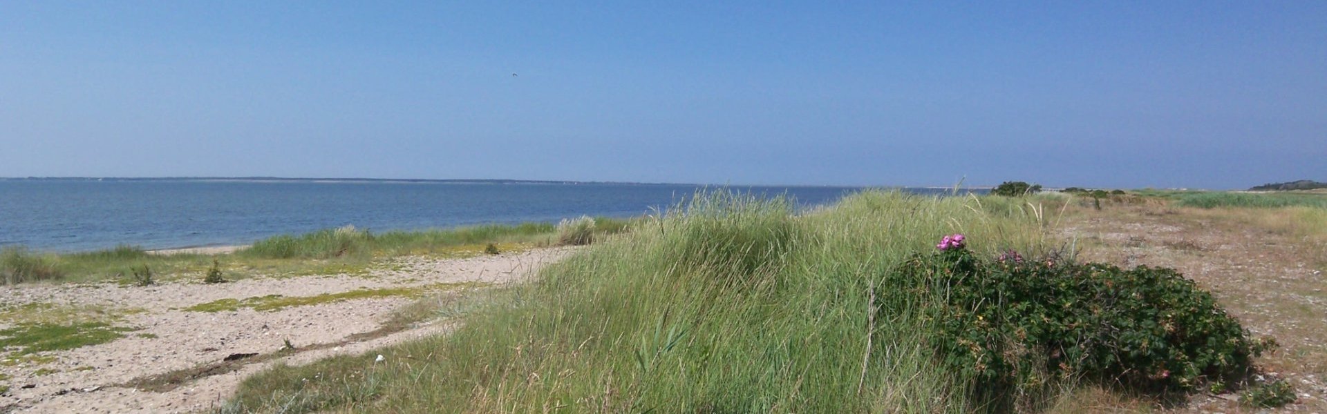 Charmantes-Teilhaus-links-unter-Reet-